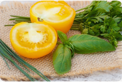 BIO - Tomate - Golden Queen