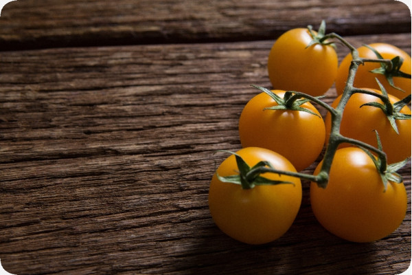 Organic - Tomato - Golden Queen