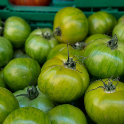 Organic Tomato - Green Zebra