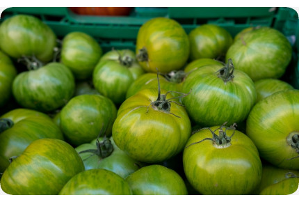 ORGANIC - Tomato - Green Zebra