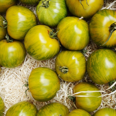 Organic Tomato - Green Zebra