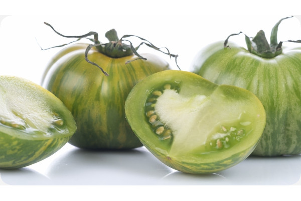 Organic Tomato - Green Zebra