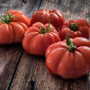 BIO - Tomate - Rouge de Marmande