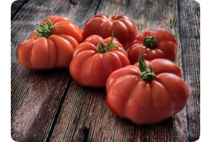 BIO - Tomate - Rouge de Marmande