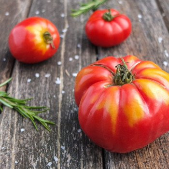BIO - Tomate - Rouge de Marmande