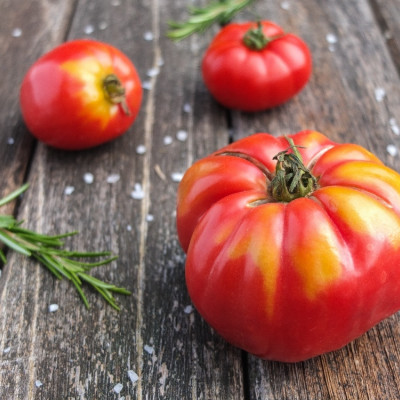 ORGANIC - Tomato - Rouge de Marmande