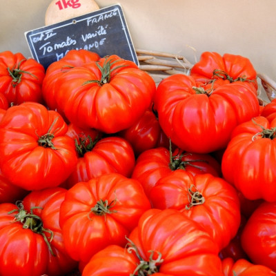 ORGANIC - Tomato - Rouge de Marmande