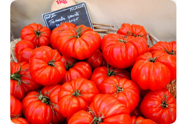 ORGANIC - Tomato - Rouge de Marmande