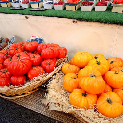 ORGANIC - Tomato - Rouge de Marmande