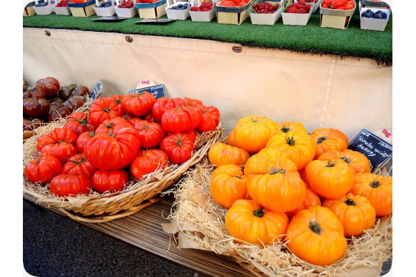 ORGANIC - Tomato - Rouge de Marmande