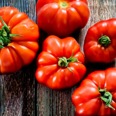 ORGANIC - Tomato - Rouge de Marmande