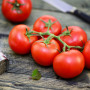 Organic - Tomato - Matina