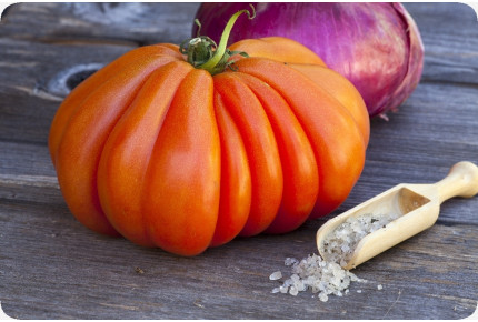 BIO - Tomate - Ochsenherz