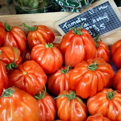 Organic - Tomato - Oxheart
