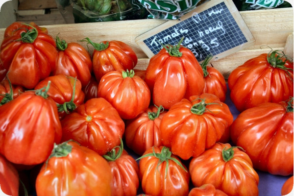 Organic - Tomato - Oxheart