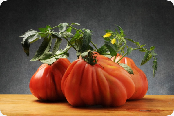 Organic - Tomato - Oxheart