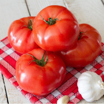 BIO - Tomate - Saint Pierre