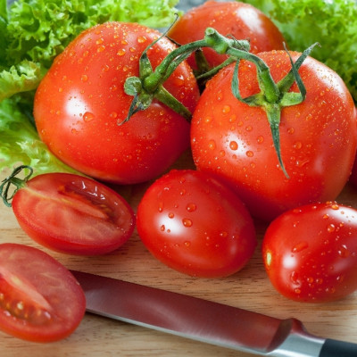 BIO - Tomate - Saint Pierre