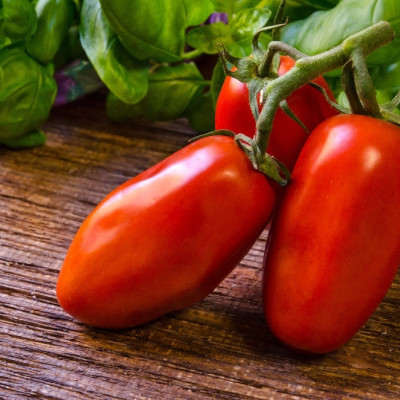 Organic - Tomato - San Marzano