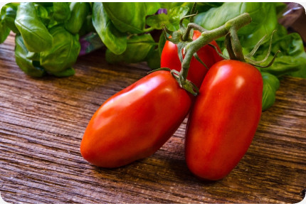 BIO - Tomate - San Marzano