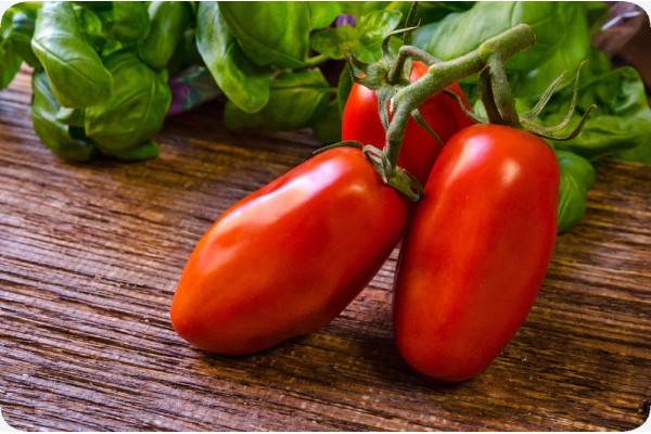 Organic - Tomato - San Marzano