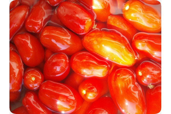 Organic - Tomato - San Marzano
