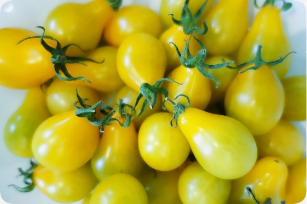 ORGANIC - Tomato - Yellow Submarine