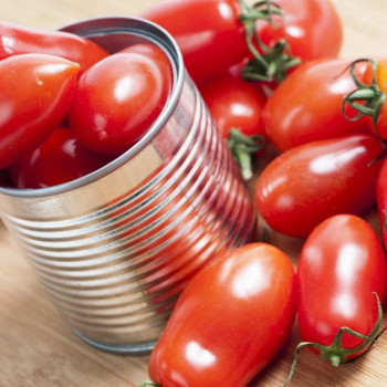 BIO - Tomate - Roma