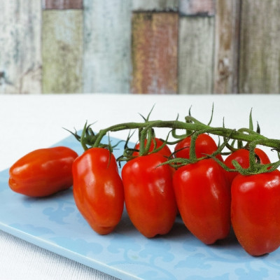 Organic - Tomato - Roma