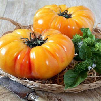 Organic - Tomato - Pineapple