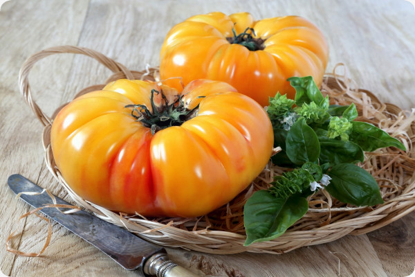 Organic - Tomato - Pineapple
