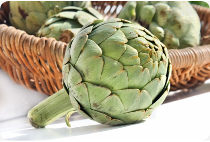 BIO - Artischocke - Imperial Star