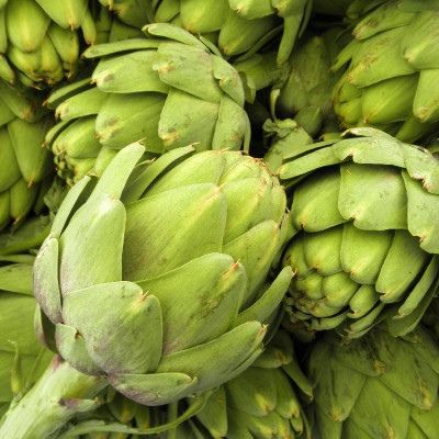 Organic Artichoke - Imperial Star
