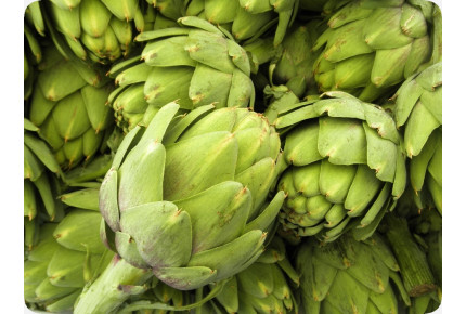 BIO - Artischocke - Imperial Star