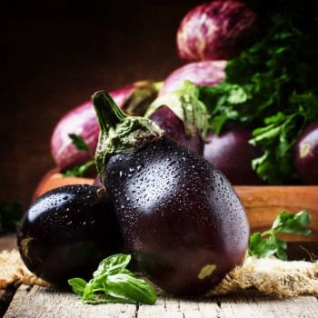 BIO - Aubergine - Black Beauty