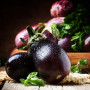 ORGANIC - Eggplant - Black Beauty