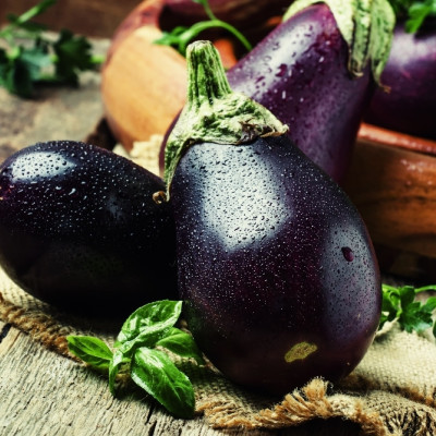 ORGANIC - Eggplant - Black Beauty