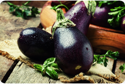 BIO - Aubergine - Black Beauty