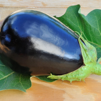 ORGANIC - Eggplant - Black Beauty