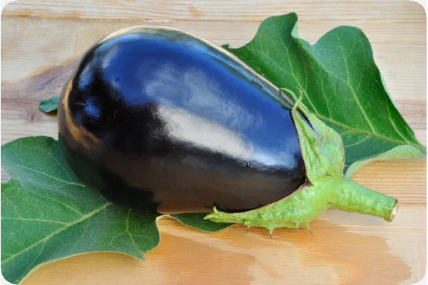 ORGANIC - Eggplant - Black Beauty