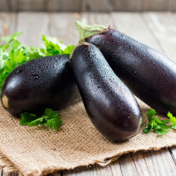 BIO - Aubergine - Long Purple