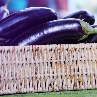 Organic - Aubergine - Long Purple
