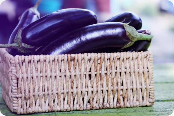 Organic - Aubergine - Long Purple