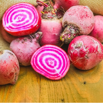 BIO - Rote Beete - Chioggia