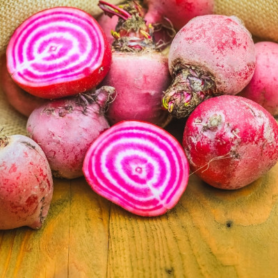 BIO - Rote Beete - Chioggia