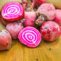 BIO - Rote Beete - Chioggia