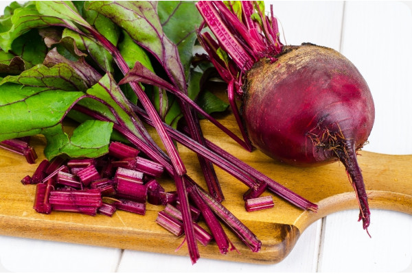 BIO - Rote Beete - Chioggia