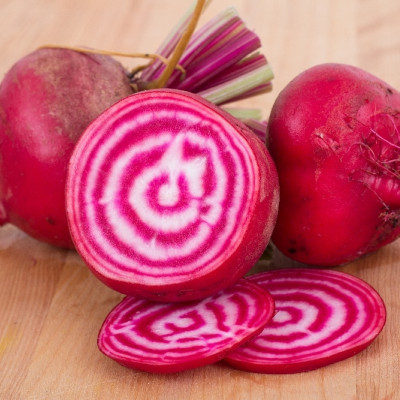 BIO - Rote Beete - Chioggia