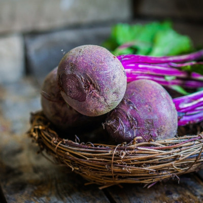 BIO - Rote Beete - Chioggia