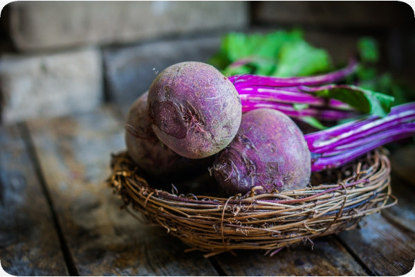 BIO - Rote Beete - Chioggia